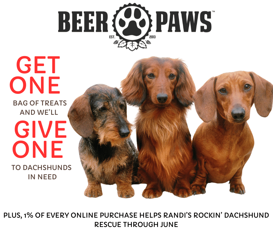 Double Up for Dachshunds on Dog Party Day! – Beer Paws