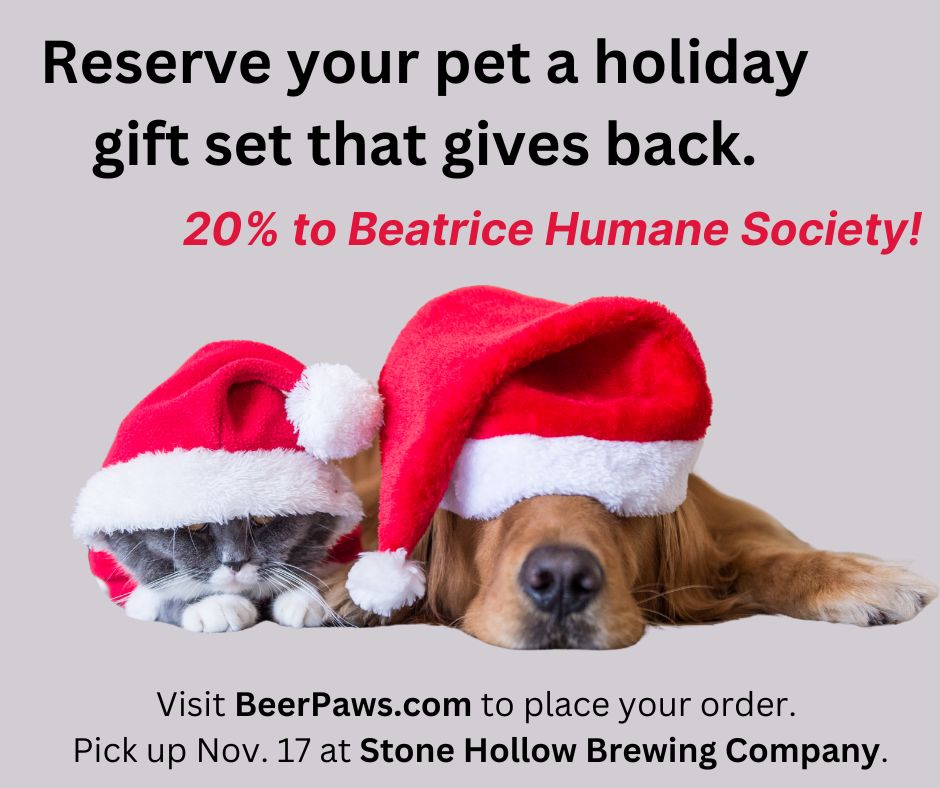 Pet Holiday Gift Bundle benefitting Beatrice Humane Society - Pick Up