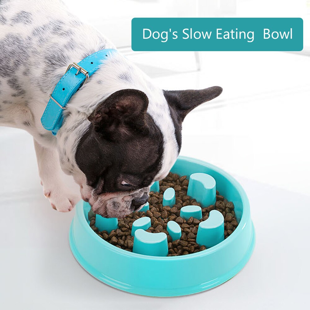Paw Slow Feeder– Dogologie